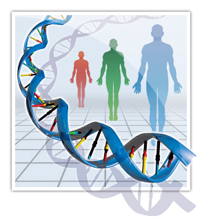 Welcome to Human Genetic Variation Database